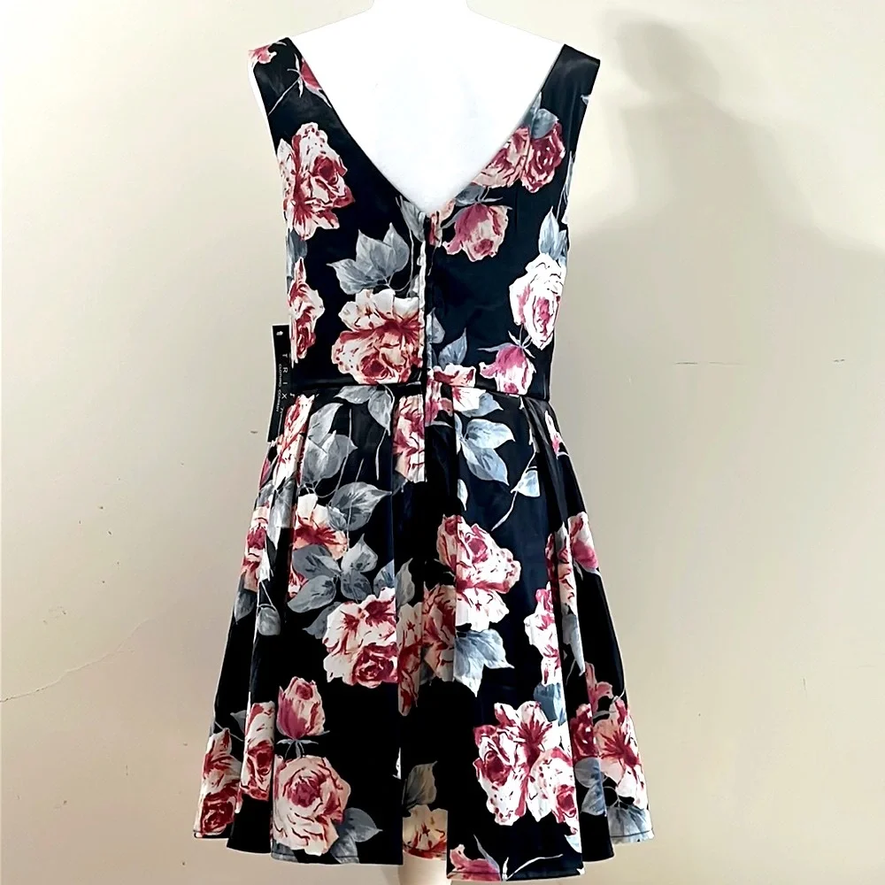 Trixxi Black Multicolor Floral Printed Pleated Dress